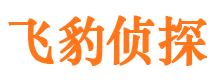 合阳市私人侦探